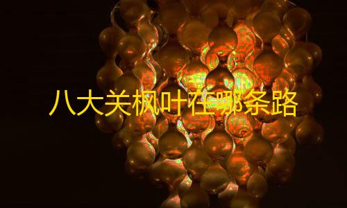 快手点赞1元100个赞八大关枫叶在哪条路